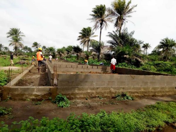 Das Bild zeigt ein Feld in Sierra Leone. Es steht sinnbildlich für die Landwirtschaft, die der größte Sektor der Wirtschaft in Sierra Leone ist.